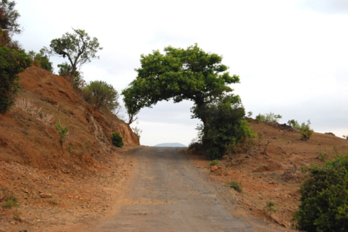 vishalgad photos