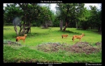 India Nature Watch India Nature Watch