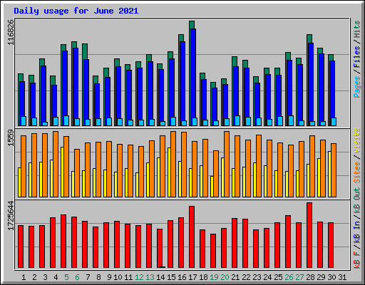 Daily usage for June 2021