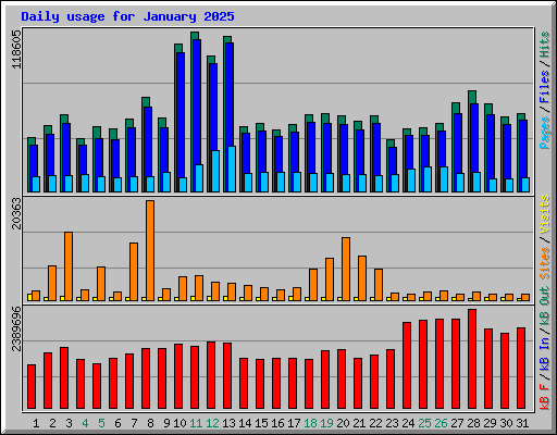 Daily usage for January 2025