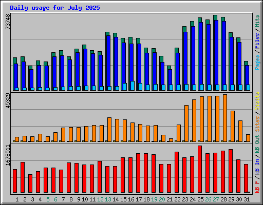 Daily usage for July 2025
