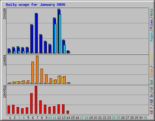 Daily usage for January 2026