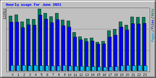 Hourly usage for June 2021