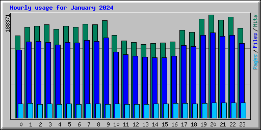 Hourly usage for January 2024