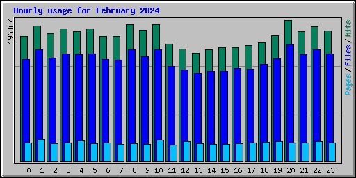 Hourly usage for February 2024