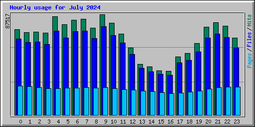 Hourly usage for July 2024