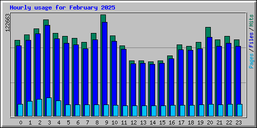 Hourly usage for February 2025