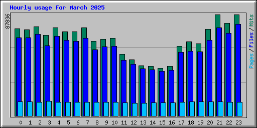 Hourly usage for March 2025