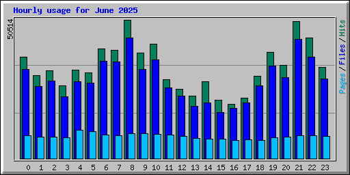 Hourly usage for June 2025