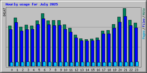 Hourly usage for July 2025