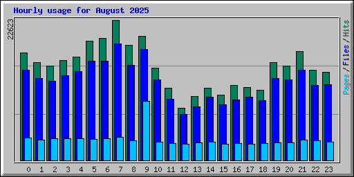 Hourly usage for August 2025