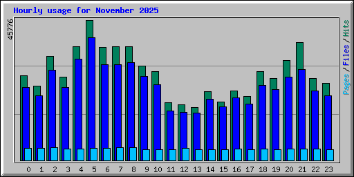 Hourly usage for November 2025