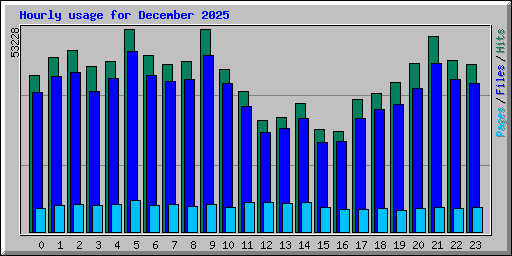 Hourly usage for December 2025