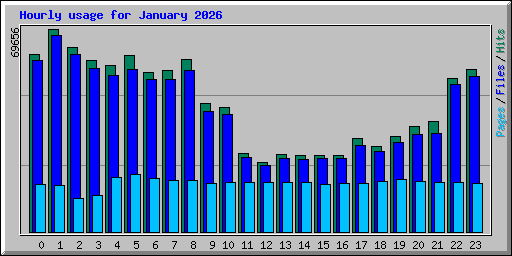 Hourly usage for January 2026