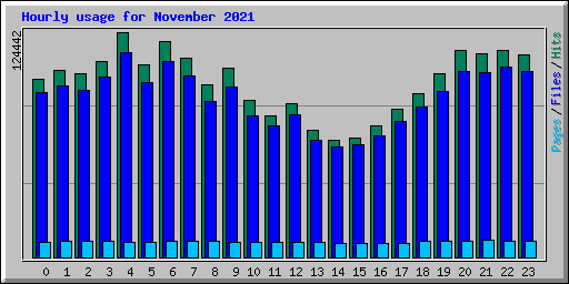 Hourly usage for November 2021