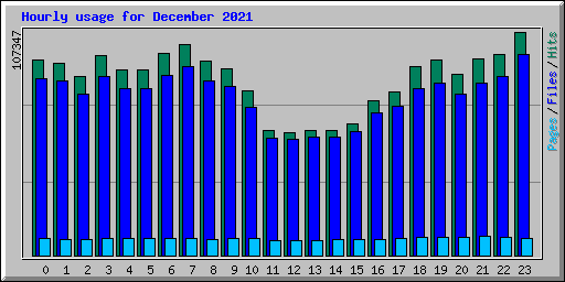 Hourly usage for December 2021